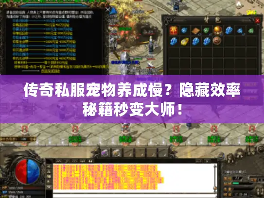 传奇私服宠物养成慢？隐藏效率秘籍秒变大师！