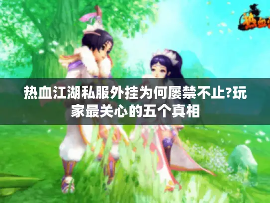 热血江湖私服外挂为何屡禁不止?玩家最关心的五个真相