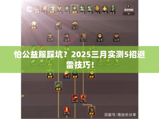 怕公益服踩坑？2025三月实测5招避雷技巧！