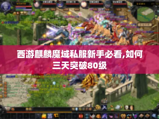 西游麒麟魔域私服新手必看,如何三天突破80级 西游麒麟魔域私服新手必看,如何三天突破80级