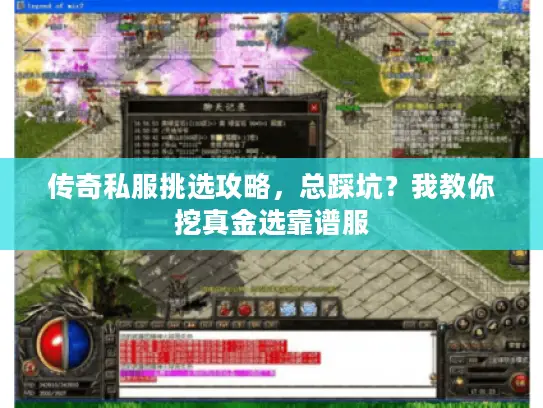 传奇私服挑选攻略，总踩坑？我教你挖真金选靠谱服