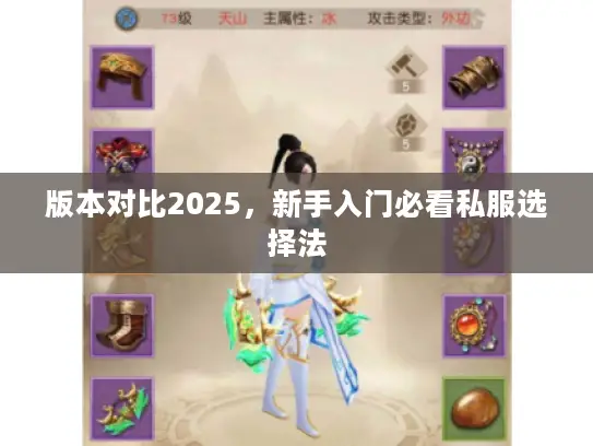 版本对比2025,新手入门必看私服选择法 版本对比2025,新手入门必看私服选择法