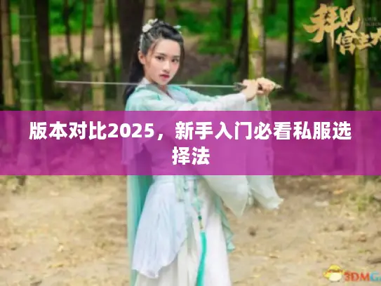 版本对比2025,新手入门必看私服选择法 版本对比2025,新手入门必看私服选择法