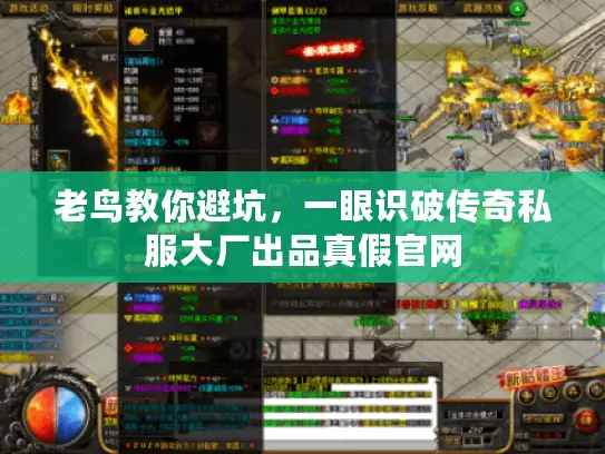 老鸟教你避坑，一眼识破传奇私服大厂出品真假官网