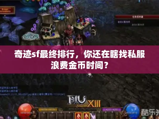 奇迹sf最终排行,你还在瞎找私服浪费金币时间? 奇迹sf最终排行,你还在瞎找私服浪费金币时间?