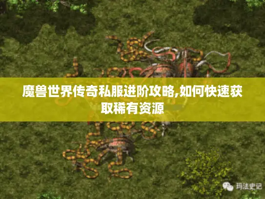 魔兽世界传奇私服进阶攻略,如何快速获取稀有资源 魔兽世界传奇私服进阶攻略,如何快速获取稀有资源