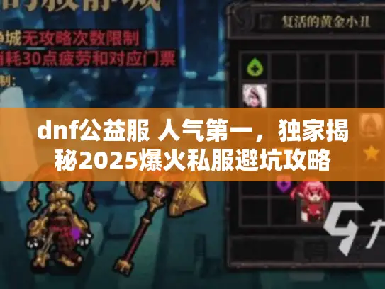 dnf公益服 人气第一，独家揭秘2025爆火私服避坑攻略