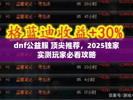 dnf公益服 顶尖推荐，2025独家实测玩家必看攻略