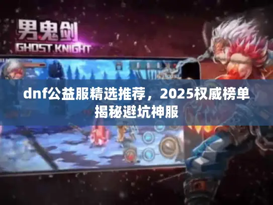 dnf公益服精选推荐，2025权威榜单揭秘避坑神服