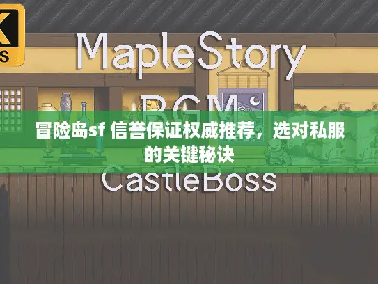 冒险岛sf 信誉保证权威推荐，选对私服的关键秘诀