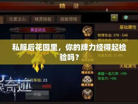 私服后花园里,你的牌力经得起检验吗? 私服后花园里,你的牌力经得起检验吗?