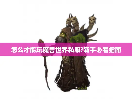 怎么才能玩魔兽世界私服?新手必看指南