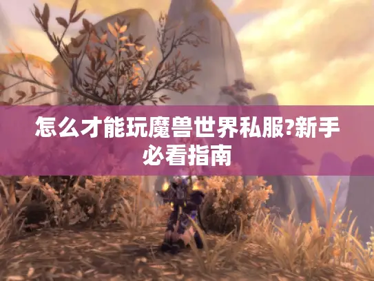 怎么才能玩魔兽世界私服?新手必看指南