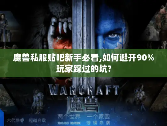 魔兽私服贴吧新手必看,如何避开90%玩家踩过的坑?