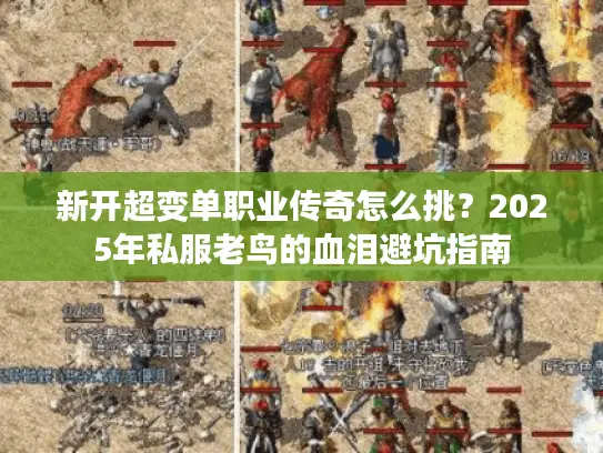 新开超变单职业传奇怎么挑？2025年私服老鸟的血泪避坑指南