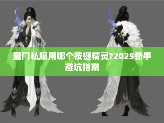蜀门私服用哪个按键精灵?2025新手避坑指南