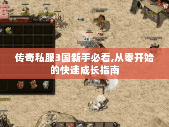 传奇私服3国新手必看,从零开始的快速成长指南