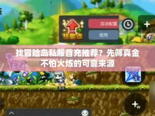 找冒险岛私服首充推荐？先筛真金不怕火炼的可靠来源