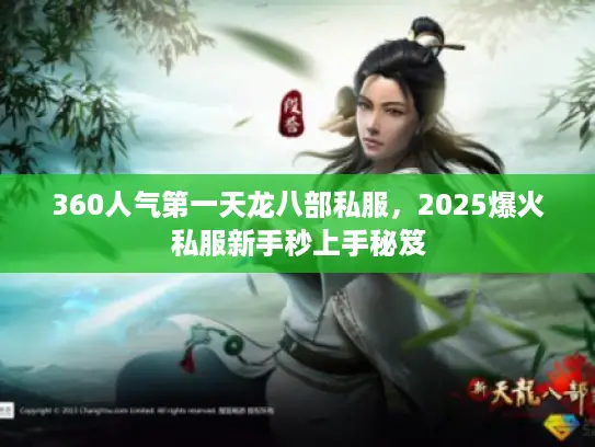 360人气第一天龙八部私服，2025爆火私服新手秒上手秘笈