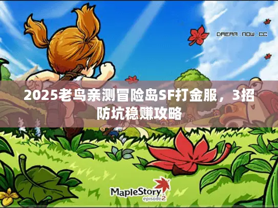 2025老鸟亲测冒险岛SF打金服，3招防坑稳赚攻略