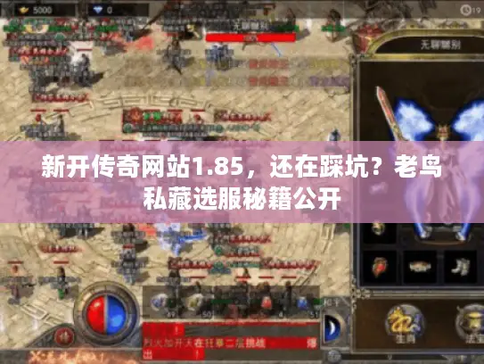 新开传奇网站1.85，还在踩坑？老鸟私藏选服秘籍公开
