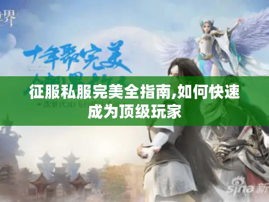 征服私服完美全指南,如何快速成为顶级玩家 征服私服完美全指南,如何快速成为顶级玩家