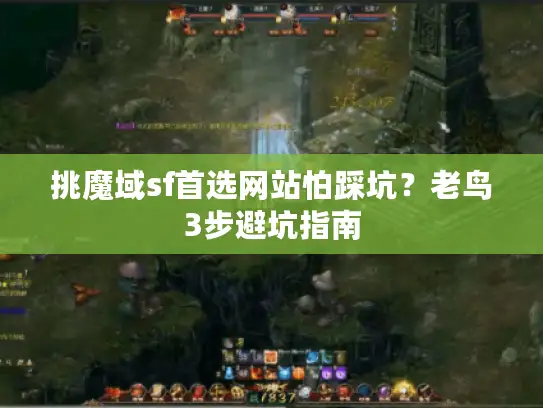 挑魔域sf首选网站怕踩坑？老鸟3步避坑指南