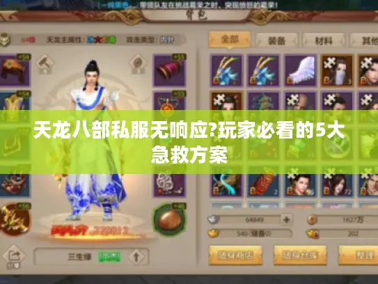 天龙八部私服无响应?玩家必看的5大急救方案