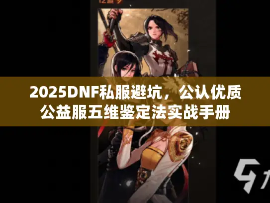 2025DNF私服避坑，公认优质公益服五维鉴定法实战手册