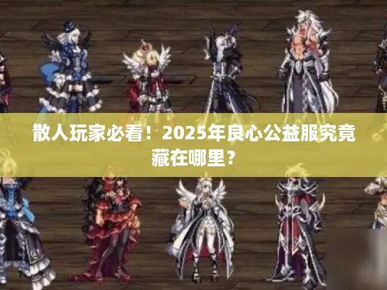 散人玩家必看！2025年良心公益服究竟藏在哪里？