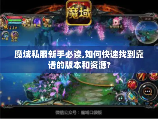 魔域私服新手必读,如何快速找到靠谱的版本和资源?