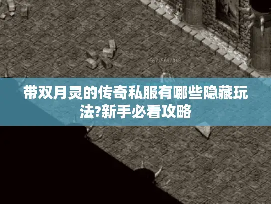 带双月灵的传奇私服有哪些隐藏玩法?新手必看攻略 带双月灵的传奇私服有哪些隐藏玩法?新手必看攻略