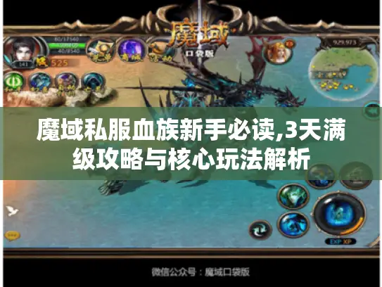 魔域私服血族新手必读,3天满级攻略与核心玩法解析 魔域私服血族新手必读,3天满级攻略与核心玩法解析