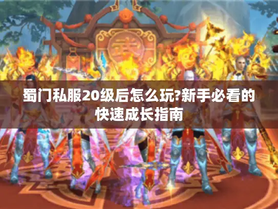蜀门私服20级后怎么玩?新手必看的快速成长指南