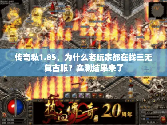 传奇私1.85，为什么老玩家都在找三无复古服？实测结果来了