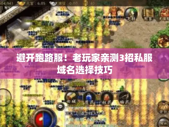 避开跑路服！老玩家亲测3招私服域名选择技巧