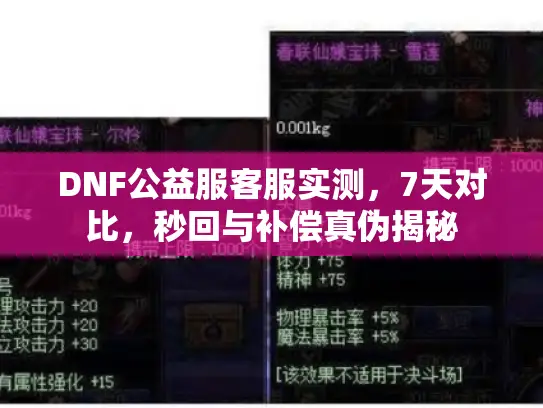 DNF公益服客服实测，7天对比，秒回与补偿真伪揭秘