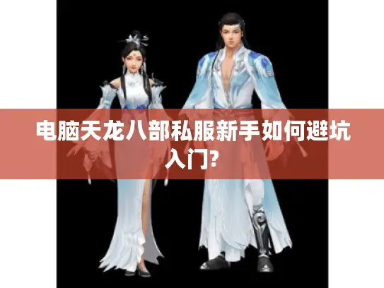 电脑天龙八部私服新手如何避坑入门?