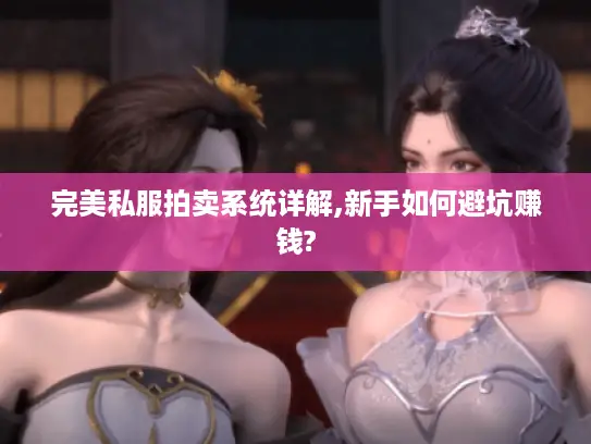 完美私服拍卖系统详解,新手如何避坑赚钱?