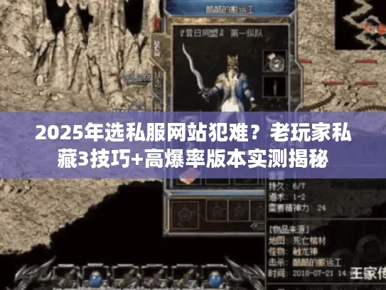 2025年选私服网站犯难？老玩家私藏3技巧+高爆率版本实测揭秘