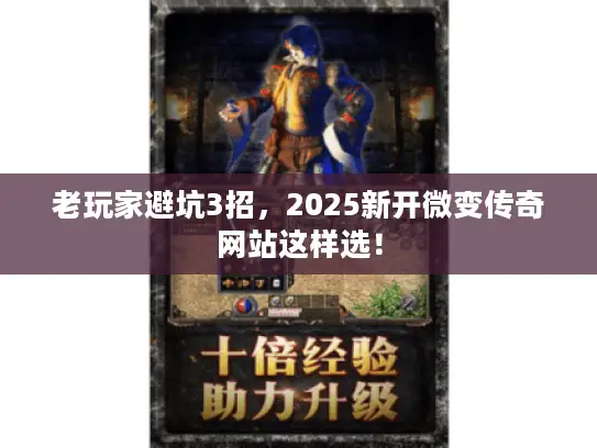 老玩家避坑3招，2025新开微变传奇网站这样选！