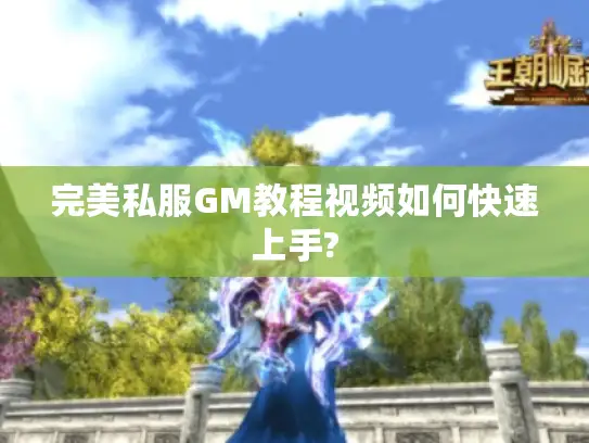 完美私服GM教程视频如何快速上手?