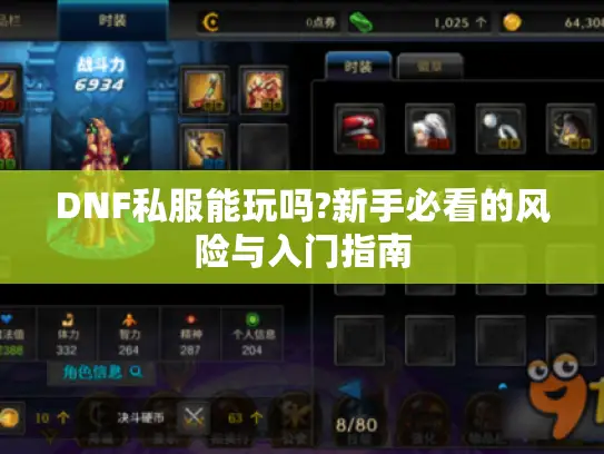 DNF私服能玩吗?新手必看的风险与入门指南