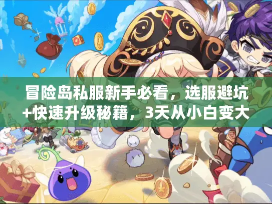 冒险岛私服新手必看，选服避坑+快速升级秘籍，3天从小白变大佬？