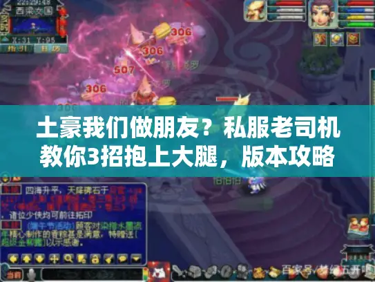 土豪我们做朋友？私服老司机教你3招抱上大腿，版本攻略全拿捏！