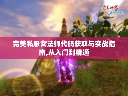 完美私服女法师代码获取与实战指南,从入门到精通