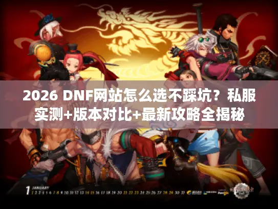 2026 DNF网站怎么选不踩坑？私服实测+版本对比+最新攻略全揭秘