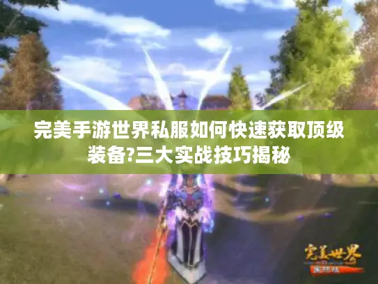 完美手游世界私服如何快速获取顶级装备?三大实战技巧揭秘
