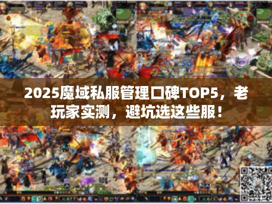 2025魔域私服管理口碑TOP5，老玩家实测，避坑选这些服！