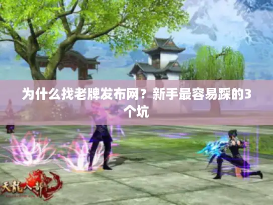 为什么找老牌发布网？新手最容易踩的3个坑